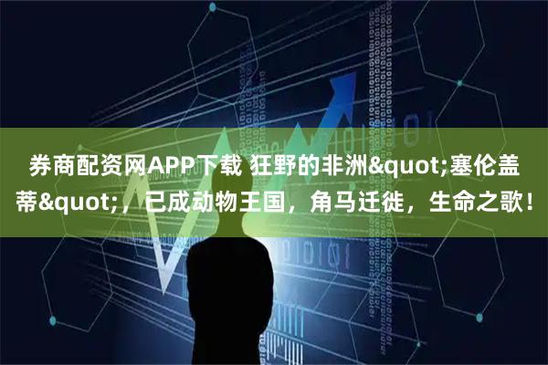 券商配资网APP下载 狂野的非洲"塞伦盖蒂"，已成动物王国，角马迁徙，生命之歌！